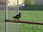 Bild 6 von 4